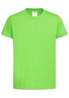 368C Kiwi Green